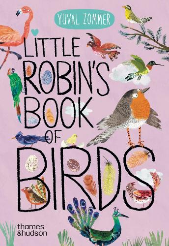 Бумажная книга «Little Robin's Book of Birds», автор Юваль Зоммер - фото №1