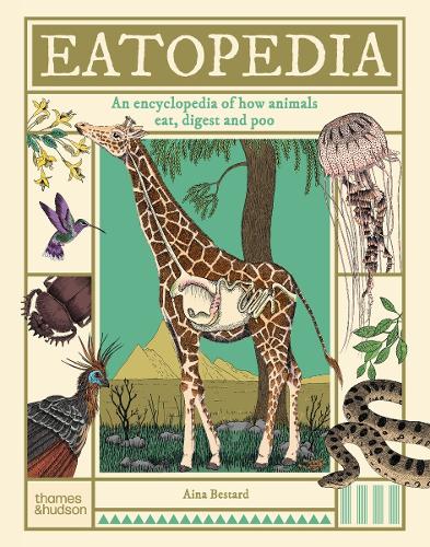 Паперова книга «Eatopedia: An encyclopedia of how animals eat, digest and poo», автор Айна Бестард - фото №1