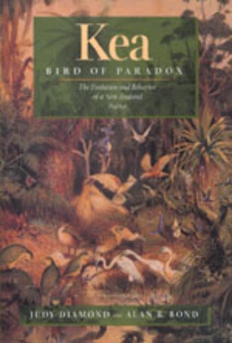 Бумажная книга «Kea, Bird of Paradox: The Evolution and Behavior of a New Zealand Parrot», авторов Алан Б. Бонд, Джуди Даймонд - фото №1