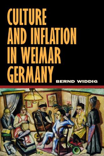 Паперова книга «Culture and Inflation in Weimar Germany», автор Бернд Віддіг - фото №1
