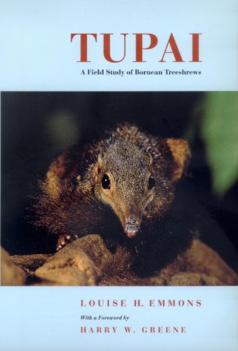 Паперова книга «Tupai: A Field Study of Bornean Treeshrews», автор Луїза Х. Еммонс - фото №1