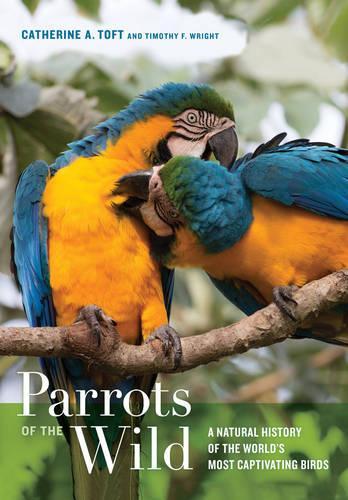 Паперова книга «Parrots of the Wild: A Natural History of the World’s Most Captivating Birds», авторів Кетрін А. Тофт, Тімоті Ф. Райт - фото №1