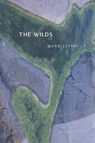 Бумажная книга «The Wilds» - фото №1