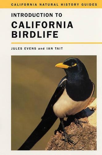 Бумажная книга «Introduction to California Birdlife», автор Жюль Ивенс - фото №1