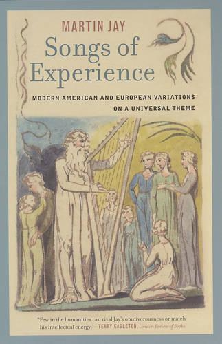 Бумажная книга «Songs of Experience: Modern American and European Variations on a Universal Theme», автор Мартин Джей - фото №1