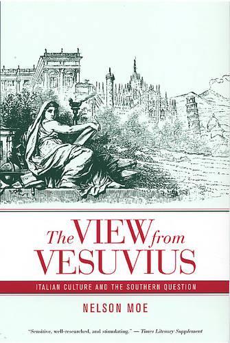 Бумажная книга «The View from Vesuvius: Italian Culture and the Southern Question», автор Нельсон Дж. Мо - фото №1