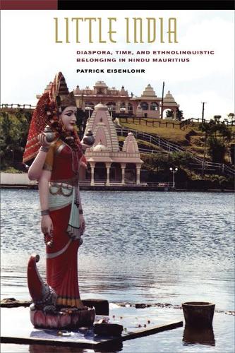 Бумажная книга «Little India: Diaspora, Time, and Ethnolinguistic Belonging in Hindu Mauritius», автор Патрик Айзенлор - фото №1
