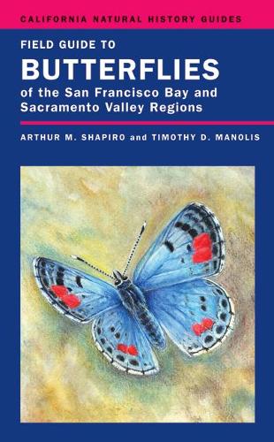 Бумажная книга «Field Guide to Butterflies of the San Francisco Bay and Sacramento Valley Regions», автор Артур Шапиро - фото №1