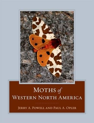 Бумажная книга «Moths of Western North America», авторов Джерри А. Пауэлл, Пол А. Оплер - фото №1