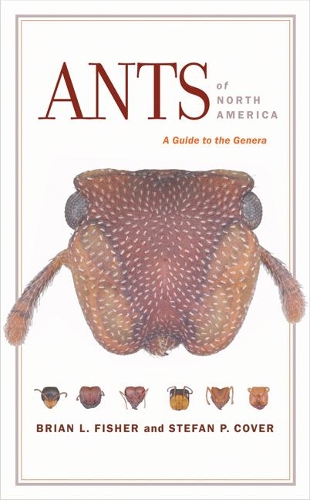 Паперова книга «Ants of North America: A Guide to the Genera», авторів Брайан Л. Фішер, Стефан П. Ковер - фото №1