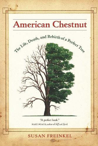 Паперова книга «American Chestnut: The Life, Death, and Rebirth of a Perfect Tree», автор Сьюзен Фрайнкель - фото №1