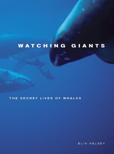 Бумажная книга «Watching Giants: The Secret Lives of Whales», автор Элин Келси - фото №1
