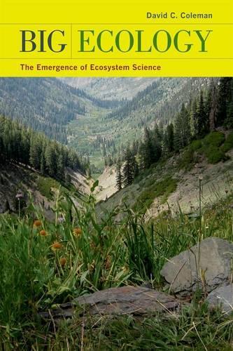 Бумажная книга «Big Ecology: The Emergence of Ecosystem Science», автор Дэвид К. Колман - фото №1