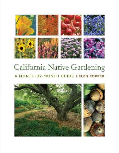 Бумажная книга «California Native Gardening: A Month-by-Month Guide», автор Хелен Поппер - фото №1