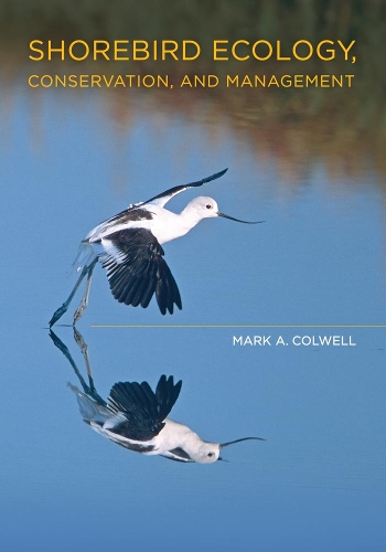 Паперова книга «Shorebird Ecology, Conservation, and Management», автор Марк А. Колвелл - фото №1