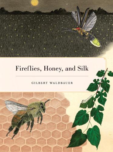 Бумажная книга «Fireflies, Honey, and Silk», автор Жильбер Вальдбауэр - фото №1