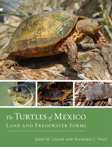 Бумажная книга «The Turtles of Mexico: Land and Freshwater Forms», авторов Джон Леглер, Ричард К. Фогт - фото №1