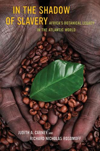 Бумажная книга «In the Shadow of Slavery: Africa’s Botanical Legacy in the Atlantic World», автор Джудит Карни - фото №1