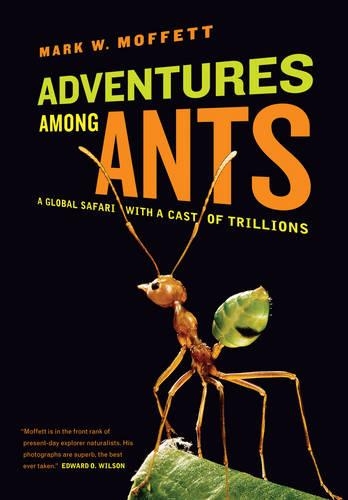Паперова книга «Adventures among Ants: A Global Safari with a Cast of Trillions», автор Марк В. Моффетт - фото №1