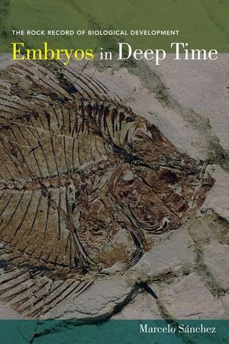 Бумажная книга «Embryos in Deep Time: The Rock Record of Biological Development», автор Марсело Санчес-Виллагра - фото №1