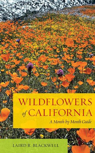 Паперова книга «Wildflowers of California: A Month-by-Month Guide», автор Лейрд Блеквелл - фото №1