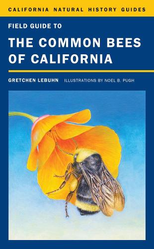 Паперова книга «Field Guide to the Common Bees of California: Including Bees of the Western United States», автор Гретхен ЛеБун - фото №1