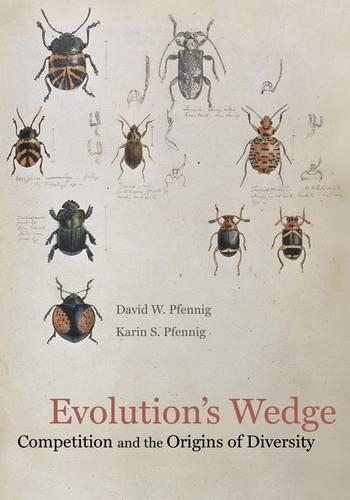 Паперова книга «Evolution's Wedge: Competition and the Origins of Diversity», авторів Девід Пфенніг, Карін Пфенніг - фото №1