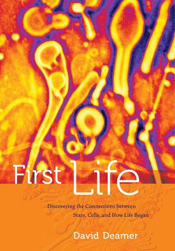 Паперова книга «First Life: Discovering the Connections between Stars, Cells, and How Life Began», автор Девід Дімер - фото №1