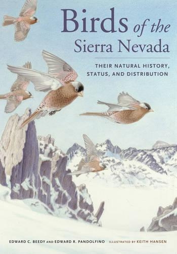 Бумажная книга «Birds of the Sierra Nevada: Their Natural History, Status, and Distribution», авторов Эд Пандольфино, Тед Биди - фото №1