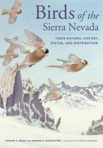 Бумажная книга «Birds of the Sierra Nevada: Their Natural History, Status, and Distribution», авторов Эд Пандольфино, Тед Биди - фото №1