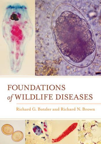 Паперова книга «Foundations of Wildlife Diseases», авторів Річард Г. Боцлер, Річард Н. Браун - фото №1