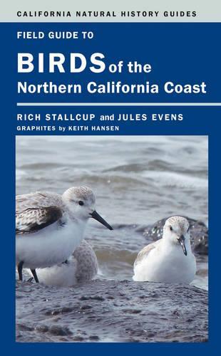 Бумажная книга «Field Guide to Birds of the Northern California Coast», авторов Жюль Ивенс, Рич Сталкап - фото №1