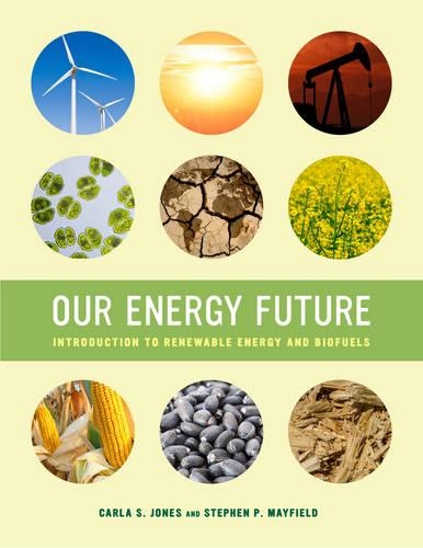Бумажная книга «Our Energy Future: Introduction to Renewable Energy and Biofuels», авторов Карла С. Джонс, Стивен П. Мэйфилд - фото №1