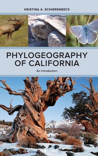 Бумажная книга «Phylogeography of California: An Introduction», автор Кристина А. Ширенбек - фото №1