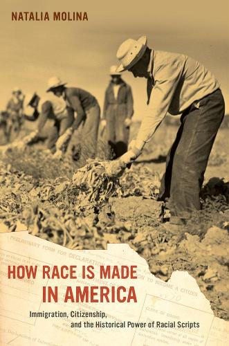 Бумажная книга «How Race Is Made in America: Immigration, Citizenship, and the Historical Power of Racial Scripts», автор Наталья Молина - фото №1