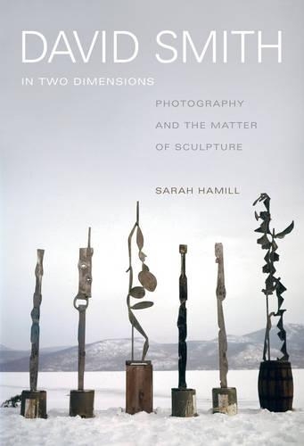 Бумажная книга «David Smith in Two Dimensions: Photography and the Matter of Sculpture», автор Сара Хэмилл - фото №1