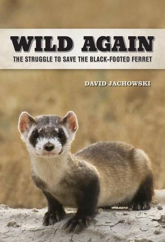 Паперова книга «Wild Again: The Struggle to Save the Black-Footed Ferret», автор Девід С. Яховскі - фото №1