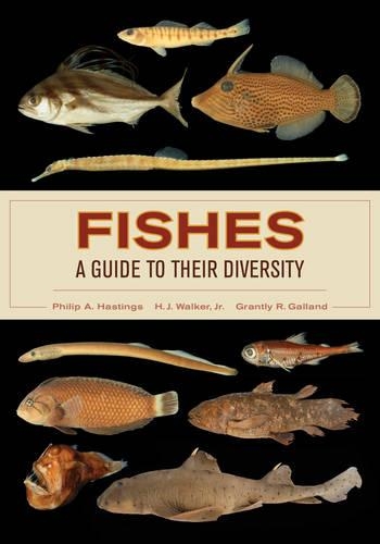 Паперова книга «Fishes: A Guide to Their Diversity», авторів Грантлі Р. Галланд, Гарольд Джек Вокер, Філіп А. Гастінгс - фото №1