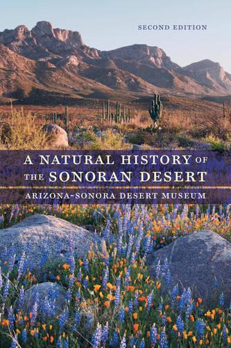 Паперова книга «A Natural History of the Sonoran Desert», автор Музей пустелі Аризона-Сонора - фото №1