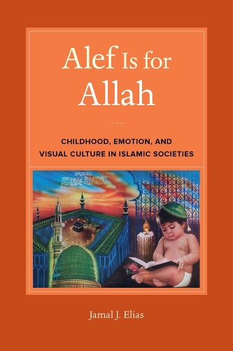 Бумажная книга «Alef Is for Allah: Childhood, Emotion, and Visual Culture in Islamic Societies», автор Джамал Дж. Элиас - фото №1