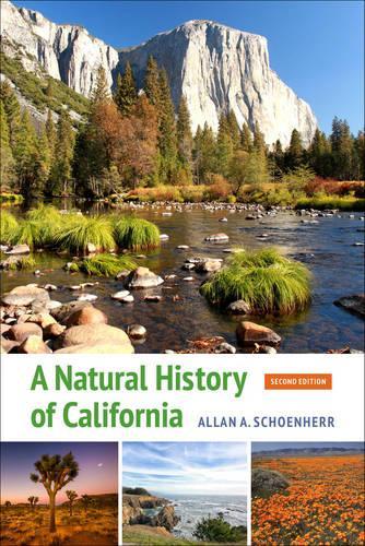 Бумажная книга «A Natural History of California: Second Edition», автор Аллан А. Шенхерр - фото №1