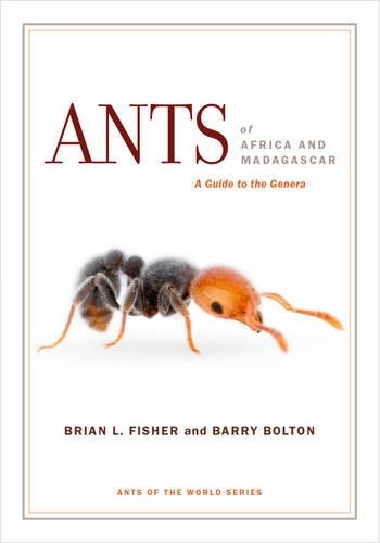 Паперова книга «Ants of Africa and Madagascar: A Guide to the Genera», авторів Баррі Болтон, Брайан Л. Фішер - фото №1