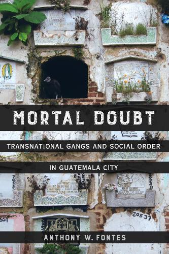 Бумажная книга «Mortal Doubt: Transnational Gangs and Social Order in Guatemala City», автор Энтони В. Фонтес - фото №1
