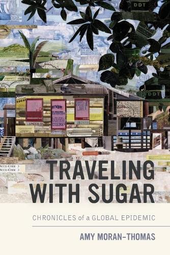 Паперова книга «Traveling with Sugar: Chronicles of a Global Epidemic», автор Емі Моран-Томас - фото №1