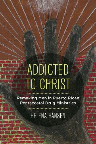 Бумажная книга «Addicted to Christ: Remaking Men in Puerto Rican Pentecostal Drug Ministries», автор Хелена Хансен - фото №1