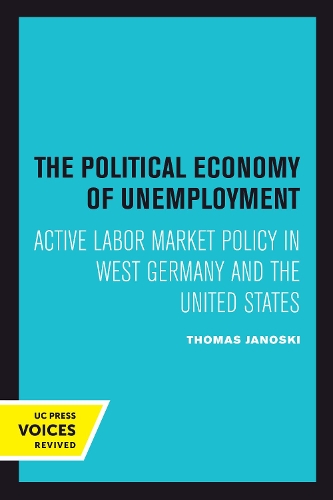Бумажная книга «The Political Economy of Unemployment», автор Томас Яноски - фото №1