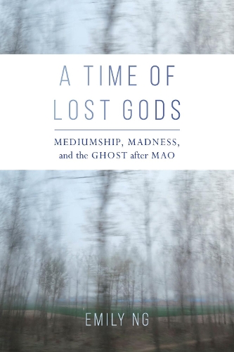 Паперова книга «A Time of Lost Gods: Mediumship, Madness, and the Ghost after Mao», автор Емілі Нг - фото №1