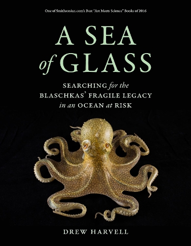 Бумажная книга «A Sea of Glass: Searching for the Blaschkas' Fragile Legacy in an Ocean at Risk», автор Дрю Харвелл - фото №1