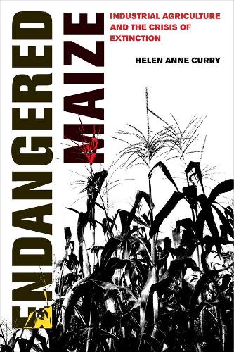 Паперова книга «Endangered Maize: Industrial Agriculture and the Crisis of Extinction», автор Хелен Енн Каррі - фото №1