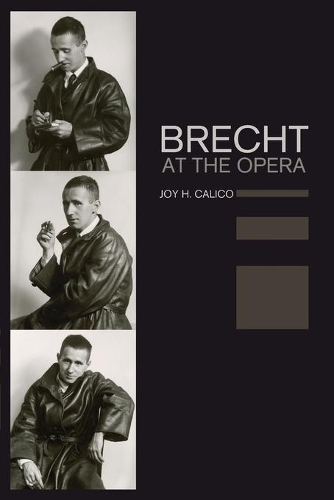 Паперова книга «Brecht at the Opera», автор Джой Х. Каліко - фото №1